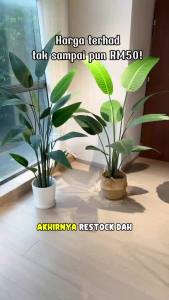 170cm Premium Artificial Tree/Indoor Decorative Tree（FREE FLOWER POT）SkyBird/Artificial Olive Tree/Decorative Banana Tree