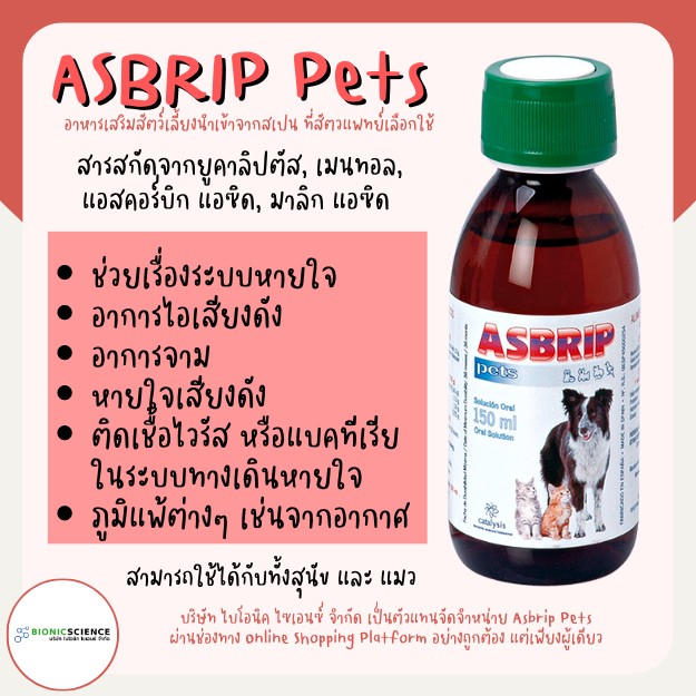 ของแท้ ส่งเร็ว ช่วยลดอาการไอ จาม หายใจมีเสียง หลอดลมตีบ Asbrip Pets แอ ...