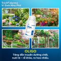 Chế phẩm sinh học Oligo Dế Mèn - Giúp lưu dẫn mạnh, thấm sâu 250ml/500ml. 