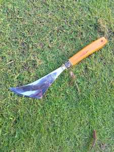 KAPE WALET ANTI KARAT BAJAPERAK ALAT PANENG SARANG BURUNG WALET