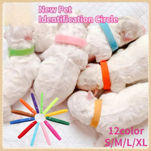 12PCS Newborn Pet Identification Ring Reusable Adjustable Length Pet Kitten Puppy Whelping Collar