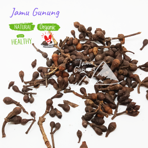 Asli Hutan!! Ceplikan 1kg / Ceplik Sari Kering Organik