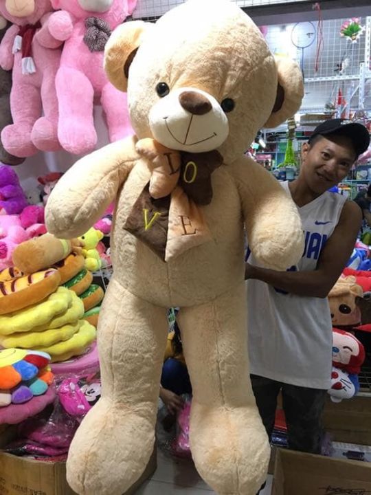 Big teddy deals bear lazada