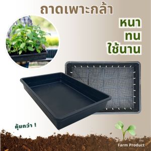 ถาดไดโซะ ถาดปลูกผัก (อย่างหนา) ถาดเพาะกล้าแคคตัส | แพ็กประหยัด ส่งไว!