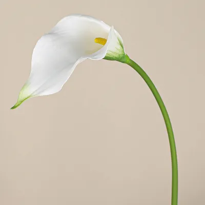 Bunga Big Calla Lily Artificial/Bunga Lily Besar/Bunga Dekorasi