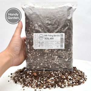 [HCM]Soil Mix chiết lẻ đất trồng sen đá succulent cactus rosemary hương thảo. Gồm perlite pumice peat moss vỏ thông habitat phân trùn quế