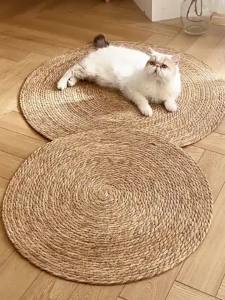 เล็บแมว การทำพืช รัก เล่น น้ำผสม แผ่นลับ เสื่อลับ พรมลับ 10 บรรทัด ที่ลับเล็บแมว