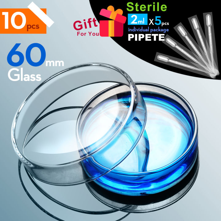 Anneome 10pcs Nutrient Agar Plate Science Petri Dish Agar Petri Dish Agar Petri