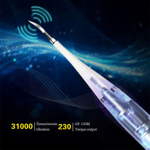 อัลตราโซนิกไฟฟ้าทำความสะอาด Scaler เคลือบฟันกำจัดโซนิคแปรงฟันไวท์เทนนิ่งและป้องกันฟันแบบพกพาสำหรับบ้านเดินทางกันน้ำแบบชาร์จไฟฟ้าทำความสะอาดแปรงสีฟัน