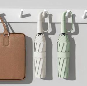 Buckle Automatic Umbrella HM