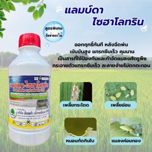 แลมบ์ดา-ไซฮาโลทริน ขนาด 1 ลิตร ยาน็อคสูตรเย็น ป้องกันกำจัดหนอน แมลง หนอนเจาะสมอฝ้าย หนอนกระทู้ ยาฆ่าหนอน แลมป์ดา แลมด้า