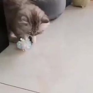 Cat Interactive Toy Ball Colorful Crinkle Foil Balls Cat Toy Balls For Cat Chasers Training Toys