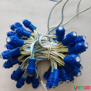 DÂY LED BÓNG ĐÚC F5/9 1 DÂY 50 BÓNG ĐIỆN 12V