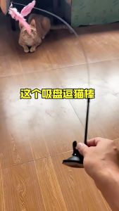 Detachable Cats Teaser Feather Stick Toy With Suction Cup Mainan Kucing