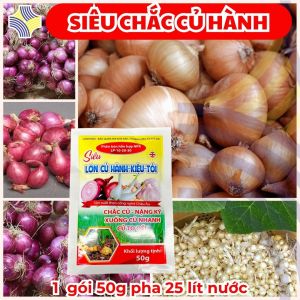 SIÊU LỚN CỦ HÀNH TÍM – HÀNH TĂM – CỦ NÉN – HÀNH TÂY (LP-10-20-30) | Giúp Xuống Củ Nhanh – Củ To Chắc – Lên Màu Đẹp – Bảo Quản Lâu – Gói 50g