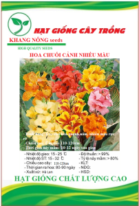 Hạt giống hoa Chuối Cảnh nhiều màu - Gói 5 hạt