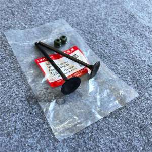 Xupap Suzuki Gz125-Gn125-En125