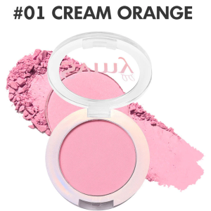 4 Colors Mineral Blush Palette with mirror Matte velvet Oil-control Waterproof Makeup