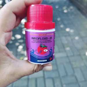 Boster inrofloxs introflok inrofloks 25 cair 100 ml Obat ikan Sakit Aeromonas insang Busuk Sisik Ikan Merah Sakit
