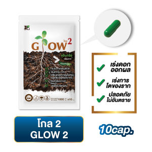 โกลว2 จุลินทรีย์เพิ่มราก ดูดซับธาตุอาหารในดิน กระตุ้นการเจริญเติบโตพืช ชนิดแคปซูล ป้องกันโรครากเน่า เพิ่มราก2เท่า