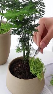 100g Artificial Simulation Moss Grass Turf Lawn Green Fake Plant DIY Landscape Decoration