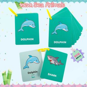 FlashCard แฟลชการ์ดจิ๋ว มี 12 หมวด แถมห่วงคล้อง บัตรคำศัพท์ flash card บัตรคำ บัตรภาพสอนภาษา ชุดแฟลชการ์ด การ์ดคำศัพท์ การ์ดภาพสัตว์