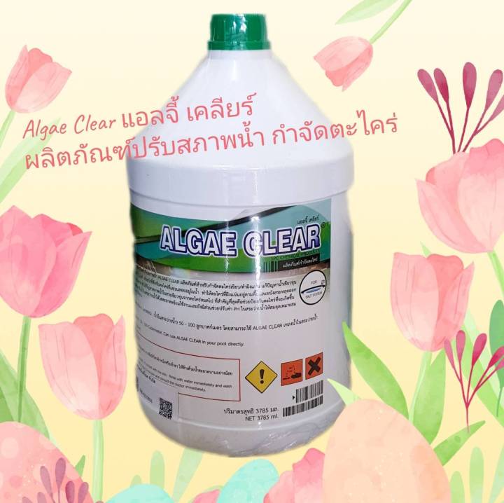 Algae Clear (แอลจี้ เคลียร์) 3.8 ลิตร สำหรับกำจัดตะไคร่ Algaecide kill green and mustard Algae
