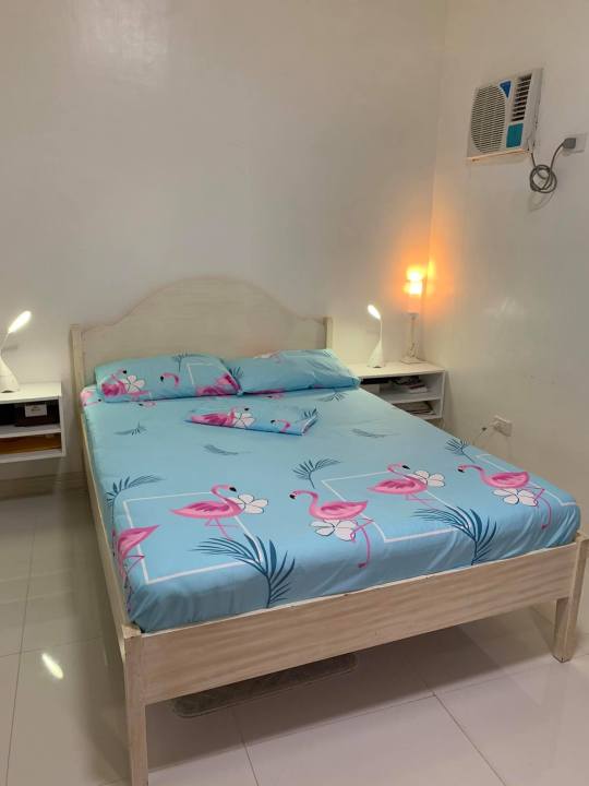 Cotton mattress on hot sale rent near me