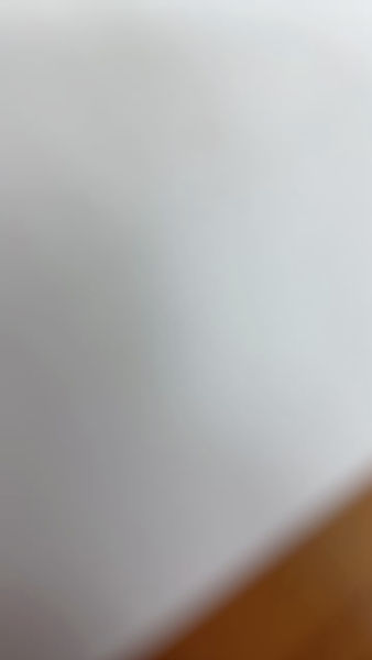 Buyer review video 2