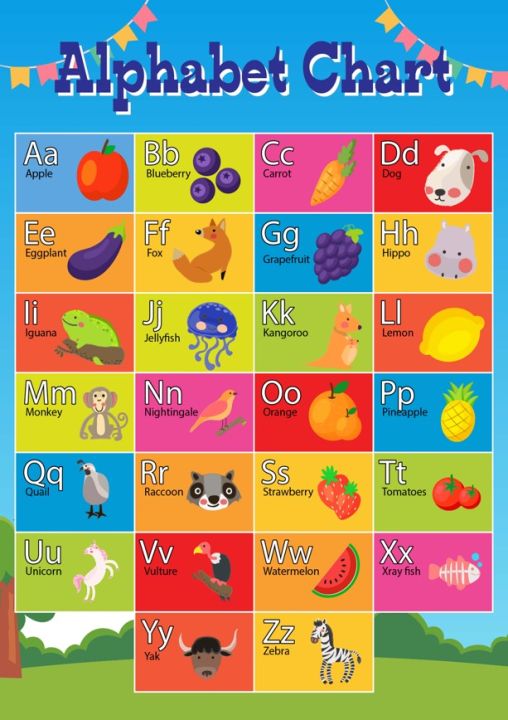 Alphabet Chart A4 Laminated High Print Quality | Lazada PH