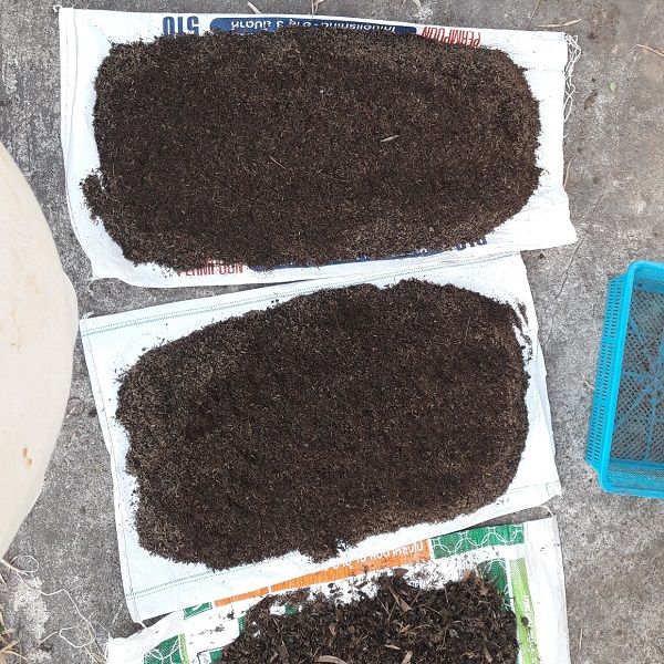 Just Bargains ดินปลูกสูตรเข้มข้น อินทรีย์ 100% 9 กก.