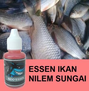 BAYAR DI TEMPAT Essen Ikan Nilem Sungai Paling Ampuh