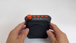 Wireless Lavalier Microphone Rechargeable Speaker Forclassroom Meetings Speeches