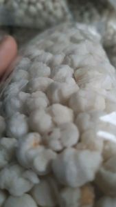 PILUS CIKUR 1 KG MURAH RASA KENCUR - TOPPING BASO ACI - TIKTAK CIKUR - PILUS CIKUR 1 KG