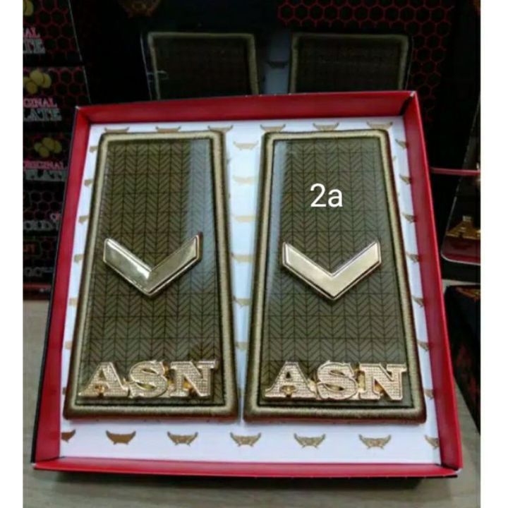 pangkat ASN 2a/pangkat PNS 2a tergantung daerah
