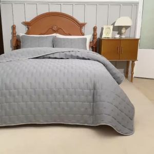 Quilt Bedding Sets Lightweight Soft Bedspread Coverlet with Pillow Cases Quilted Blanket Thin Comforter Bed Cover All Season