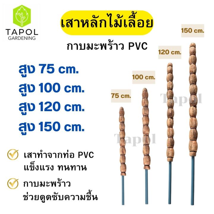 เสาหลักไม้เลื้อยกาบมะพร้าวแกน PVC หลายขนาด