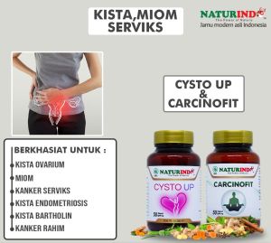 OBAT HERBAL PENGHANCUR MIOM PELURUH KISTA SEL KANKER  CYSTO UP NATURINDO