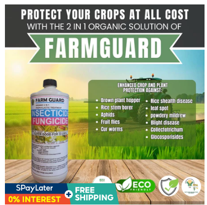 FARMGUARD 2-IN-1 ORGANIC INSECTICIDE & FUNGICIDE [ FARM GUARD Premium ...