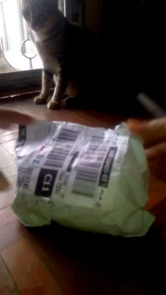 Buyer review video 2