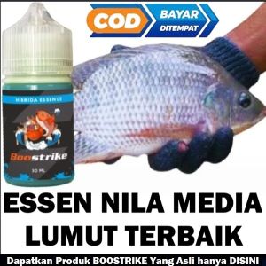 ESSEN NILA MEDIA LUMUT LIARAN LUMUT OPLOSAN LUMUT LAWAWAK LUMUT PANDAN LUMUT | BOOSTRIKE HIBRIDA