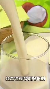 生椰豆浆粉原味大豆营养早餐燕麦片椰浆粉 Raw Coconut Soy Milk Powder High Protein Breakfast Oatmeal