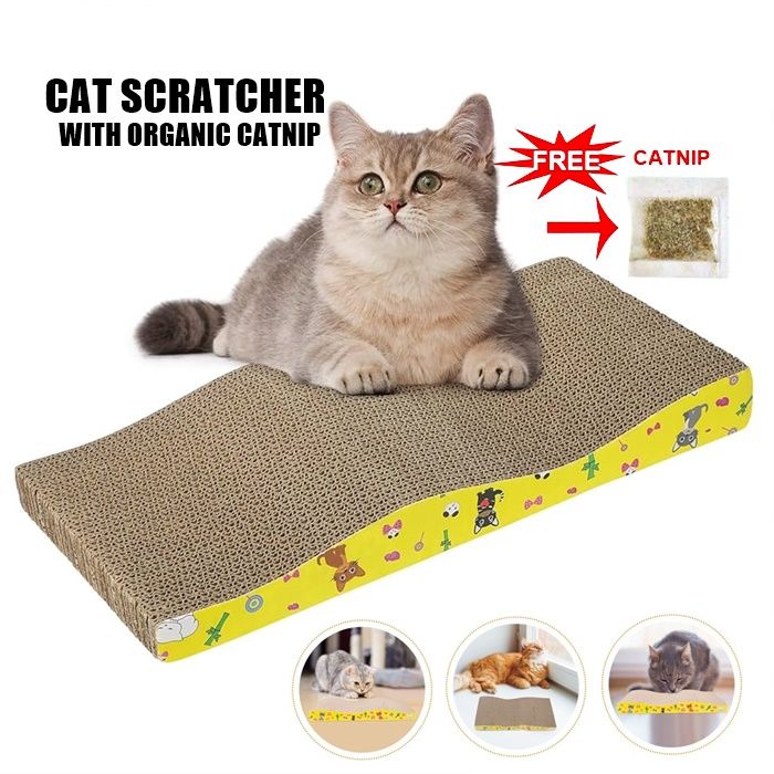 Cat 2025 scratcher lazada