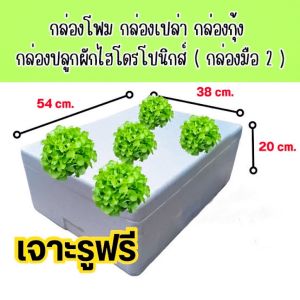 กล่องโฟมกุ้งแบบหนาทรงแบนมือ2  ลังโฟม กล่องเก็บความเย็น กล่องปลูกผักไฮโดร เจาะรูฟรี จุน้ำ 24 ลิตร 10 Kg