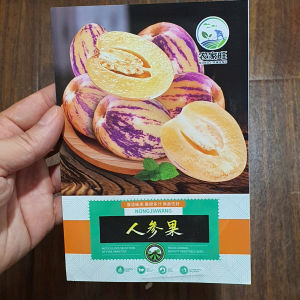 Hạt Giống Dưa Hấu Pepino hạt giống dưa nam mĩ pepino hạt giống pepino nhập khẩu -shop Yến Liên Beauty