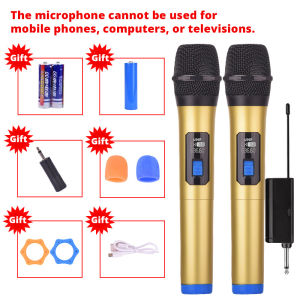 Micro không dây UHF Gốc Kép Cầm Tay không dây sạc lại được Mic Gia Đình KTV Cho Karaoke