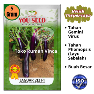 Benih Bibit Biji Terong Ungu JAGUAR 212 F1 5g dari You seed Benih Tahan Virus Tahan Layu