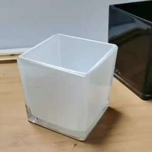 FCTransparent Square Black White Glass Flower Vase Decorative Wedding Celebration Home Hydroponic Flower Pot Desktop Decoration