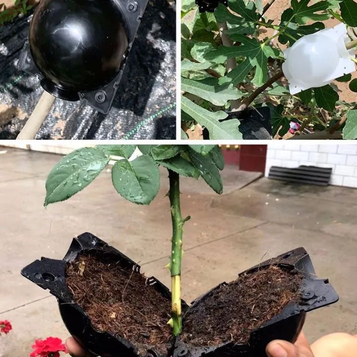 Plant%20Rooting%20Equipment%205cm/8cm/12cm%20Plant%20Rooting%20Device%20Rooting%20Growing%20Box%20Breeding%20Case%20Plant%20Rooting%20Device%20for%20Trees%20Fruit%20Plant%20Garden%20-%20Image%208