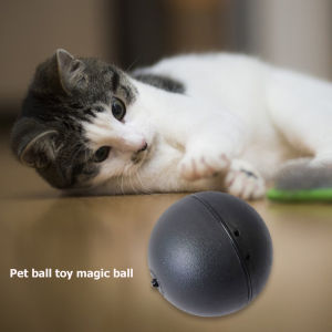 【New Arrival】 5pcs Automatic Dog Cat Balls No Toxic Automatic Pet Toy Interactive Toys Funny Rolling Toys with 4 Plush Caps for Puppy